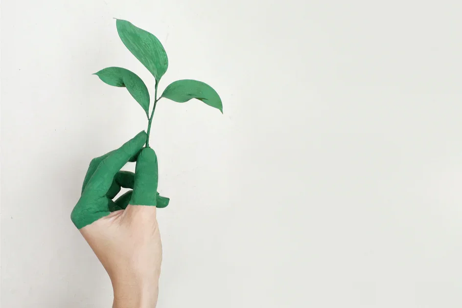 What Is Greenwashing and How To Stop It